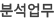 분석업무